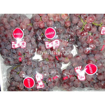 uva rossa fresca di buon gusto per l&#39;esportazione
